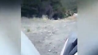 Fucking on the side of the road