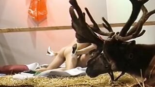 What is being done inside Santa barn