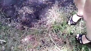 Forest story