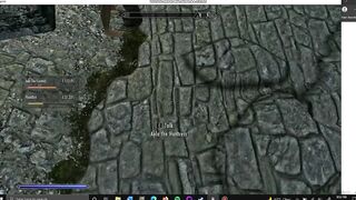 skyrim aela