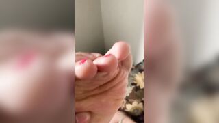 Fucking Their Socks Off Toes Up