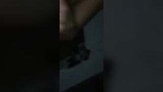 tieni