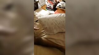 oriental fiance legs bound open taking big black dick