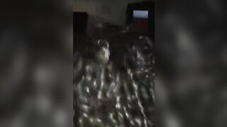 Ricciolona italiana