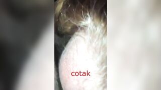 cotak turkish sakso agiza bosalma