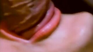 Remembering The Vintage Porn Legends While liking