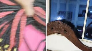 Collage Beauty Fucked