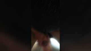 My new horse penis vibrator anal rides