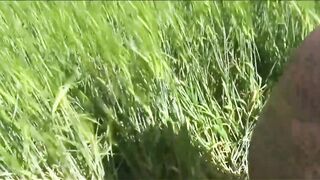 German bimbo of a inked bimbos takes 2 dicks into a field