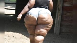 Cellulite Beauties four