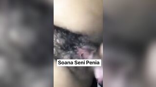 Penia