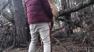 Caught inside forrest
