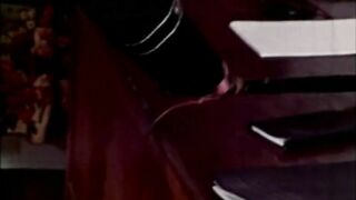 The Harlot (1973, short film, DVD rip)