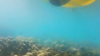 Playful Lovers Using Anal Plug To Enjoy Into Outdoors Beach