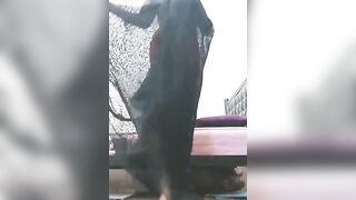 iranian dance and body performance