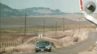 Wild Dallas Honey (1982, US, Honey Wilder, full scene, DVD)