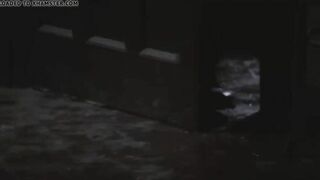 Los ritos sexuales del diablo (1982)