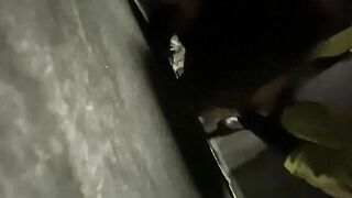 Troia amatoriale scopata e sborrata into bocca inside cantina