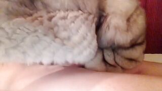 fur hooded head