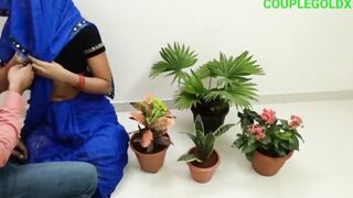 A kitane me podha Bahut haryali hai