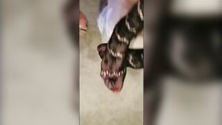 Home sex with My GF Lena