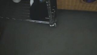 perv