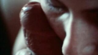 Oiled Up (1975, US, CJ Laing, Jamie Gillis, full scene DVD)