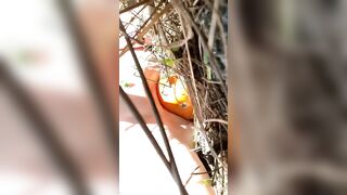 Pumpkin Humping