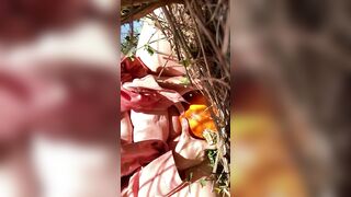 Pumpkin Humping