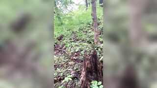 Hiking Into The Forest