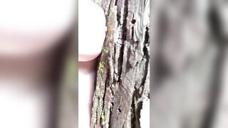Fucking A Tree
