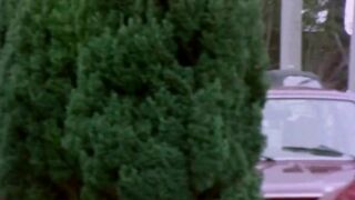 Crazy Tricks (1977, US, Beth Anna, short scene, DVD rip)