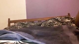 Big Titted hispanic stuffing a cucumber into her booty for her mistress