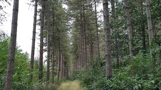 Preview Anal Outdoor into Forest