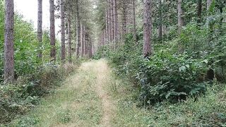 Preview Anal Outdoor into Forest