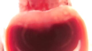 Soak Tongue