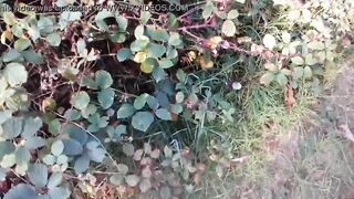 Branlette nature