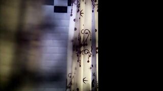 French MILF stripping inside toilet