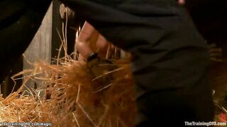 Blonde tied trainee gang bang pounded
