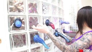 Fantastic Felicity Feline is back at BamVisions