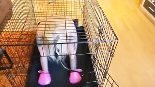 First time into cage