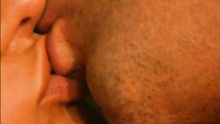Stefania Santori: Anal Dreams