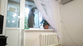 I suck a cock and jerk off to a window cleaner