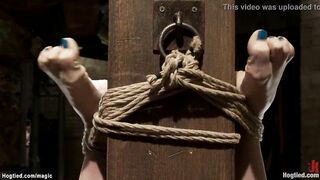 Hogtied blond lesbo tazappered
