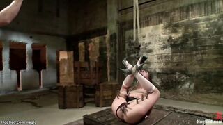 Hogtied Bombshell face boned and creampie
