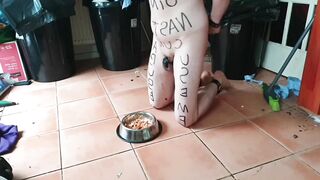 Eating cold stale scraps inside chastity