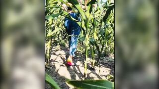 Masturbation inside corn Golden Cobra