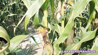 Satisfied with a corncob outdoor while a tensioner watches
