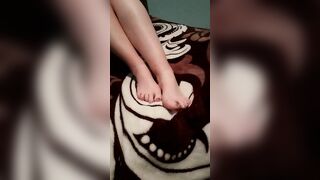 Top Pied