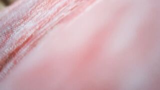 bbw blows my penis
